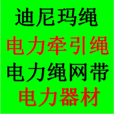 電力牽引繩迪尼瑪繩泰州市璽文繩網帶有限公司