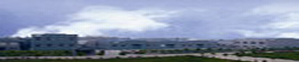 南通新帝克紡織化纖有限公司