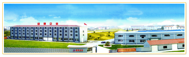 諸暨紹彈化纖有限公司