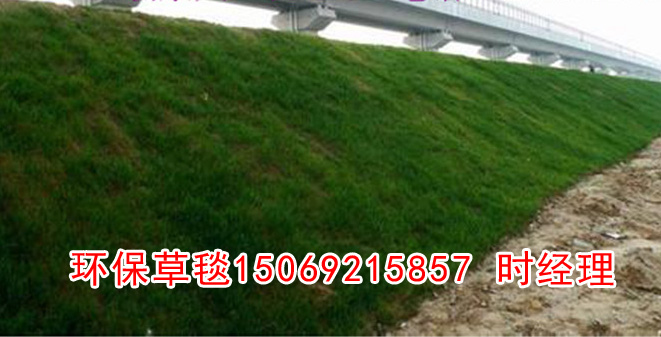 環保植草毯應用範圍，環保植生毯廠家