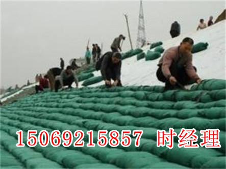 環保生態護坡袋，生態袋，植生袋專業生產廠家
