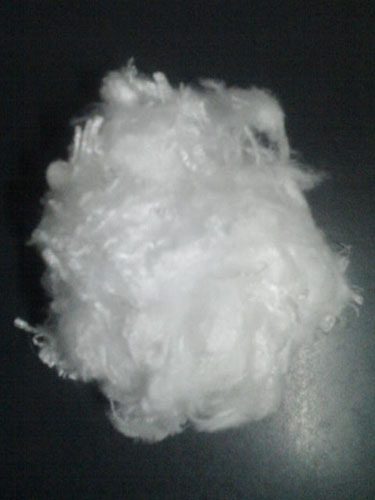 供應熱軋PP丙綸短纖維