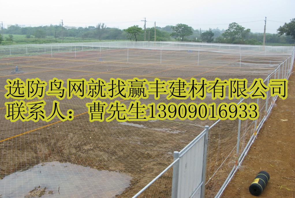 供應防鳥網