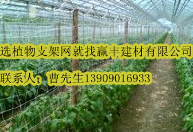 供應植物支架網