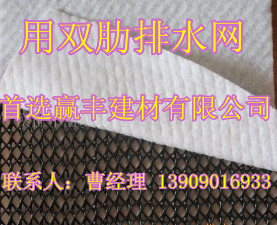 供應雙肋排水網