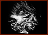 聚丙烯合成纖維