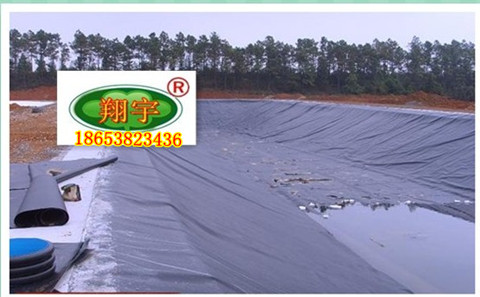 漳州養殖膜黑色地膜