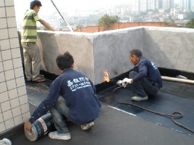 屋頂防水，專業防水公司
