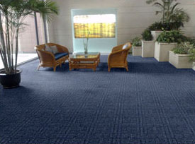 常州地毯 辦公寫字樓地毯