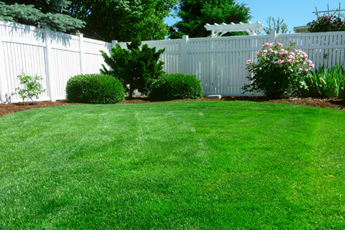 EMH6957草坪綠色母粒