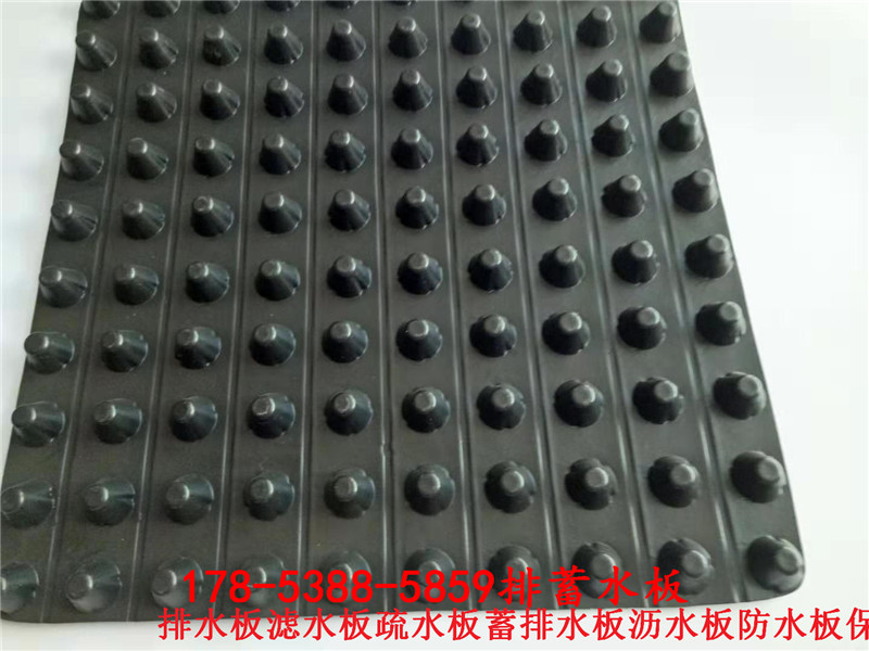 衡水2.5公分3公分凹凸型排水板廠家現貨