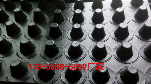 秦皇島20高複合排水板規格齊全