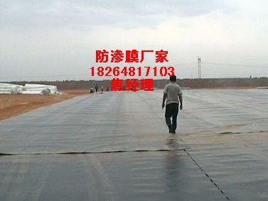 哪有賣藕池防滲膜