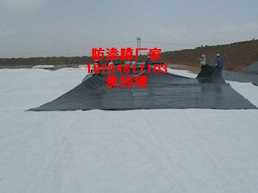 供應濱州蓮藕地膜*藕池防水布價格