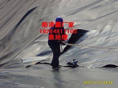 [全國]藕池魚塘防水土工布防滲膜防水毯