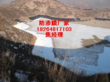 武漢藕池養殖池防滲膜