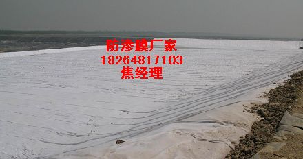 魚池防滲膜防水布山東魚塘防滲膜生產廠家