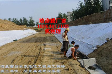 大連人工湖防滲膜防滲布太原人工湖防水布