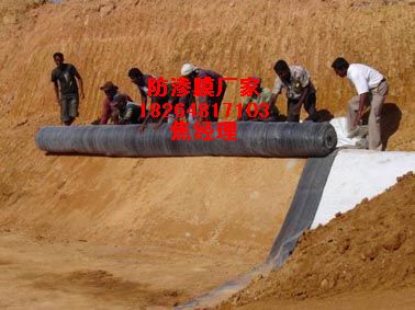 供應武漢垃圾池防滲膜/汙水池防滲膜