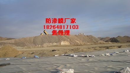 供應魚塘防滲漏膜%西寧防滲膜專用膠