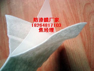 供應優質防滲膜廠家|呼和浩特兩布一膜價格