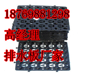 淮北排水板，淮北塑料排水板，淮北濾水板