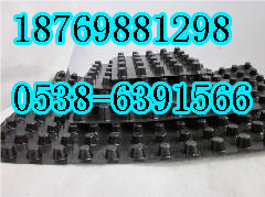 銅陵排水板；銅陵塑料排水板；銅陵蓄排水板