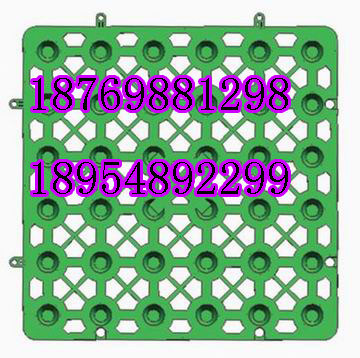 阜陽排水板，HDPE排水板，阜陽濾水板