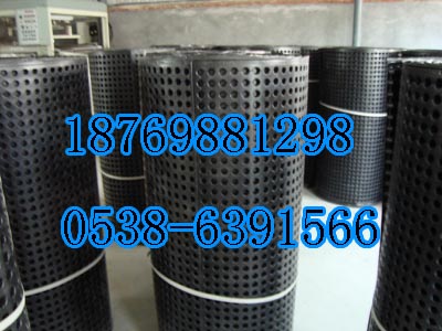 宿州排水板，宿州濾水板，防根刺排水板