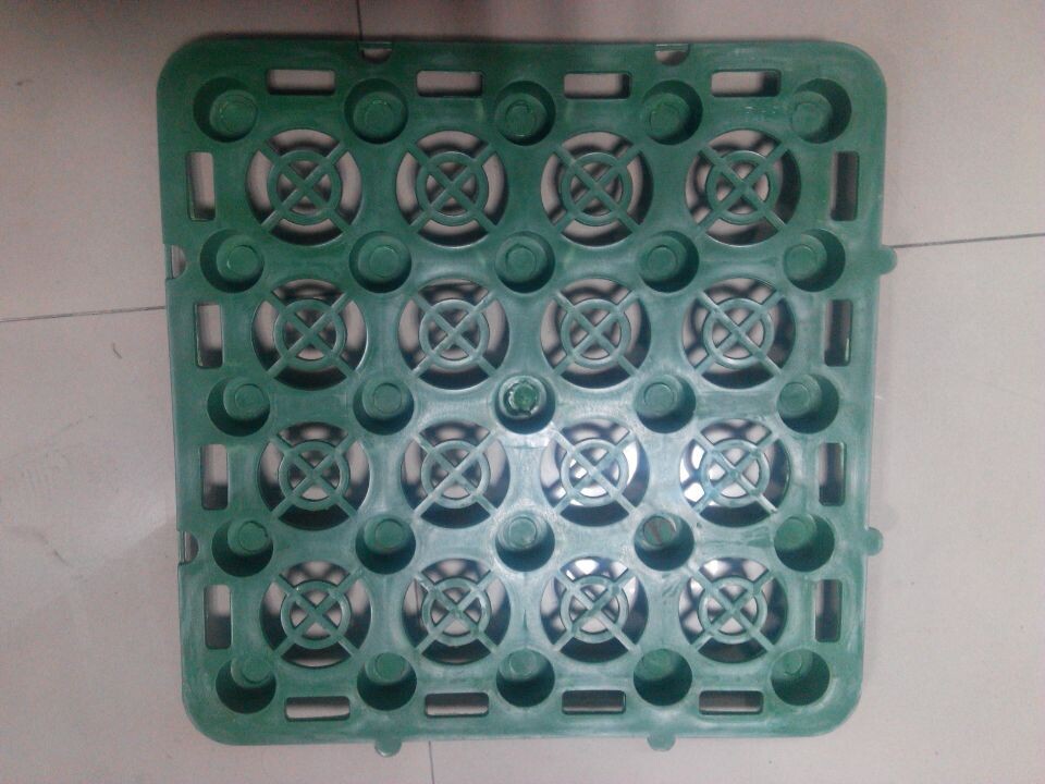 排水板 綠化  