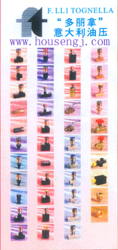 意大利多利拿(TOGNELLA)油壓/昊盛國際中國總代理