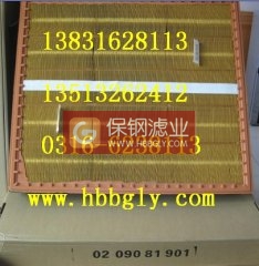 0209081901奔馳空氣濾芯