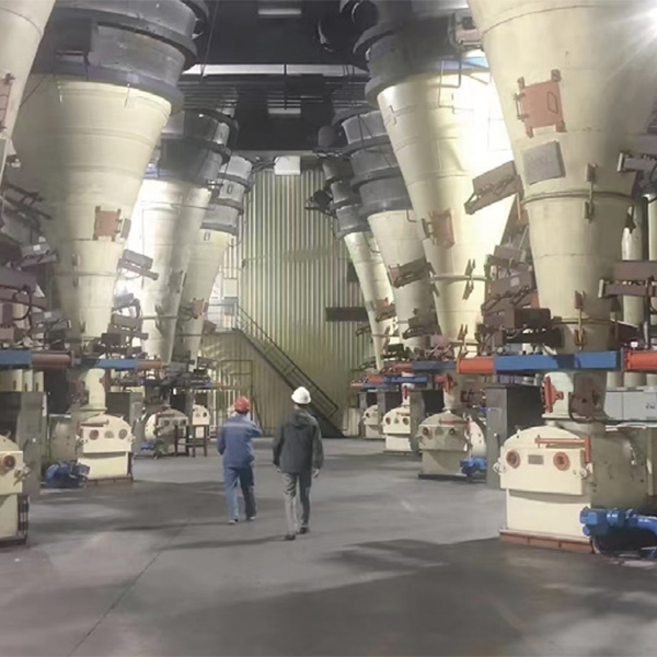 耐壓式皮帶稱重給煤機