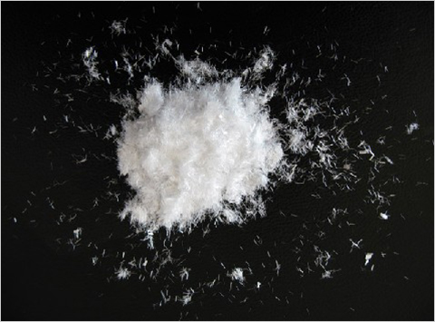 ¾Û±ûÏ©ÏËÎ¬