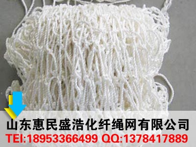 工地安全網廠家【濱州盛浩繩網】