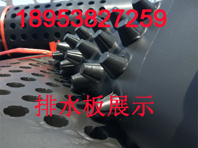 北京凹凸型塑料排水板/2公分凸點向上排水板CCTV知名品牌