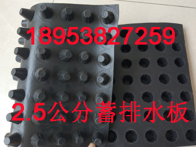 新聞在線@ 2公分車庫塑料排水板蓄水、排水、防滲透