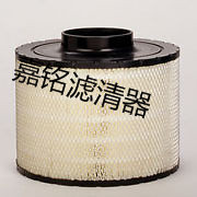 B125011唐納森空氣濾芯