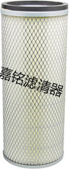 唐納森空氣濾芯P115890 