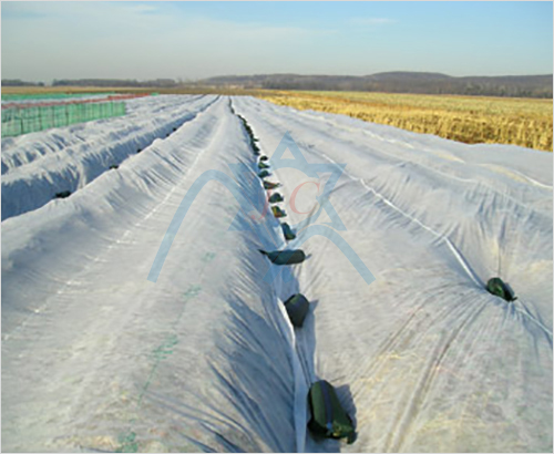 加強邊pp紡粘無紡布