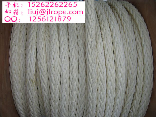 廠價供應十二股纜繩/係泊繩
