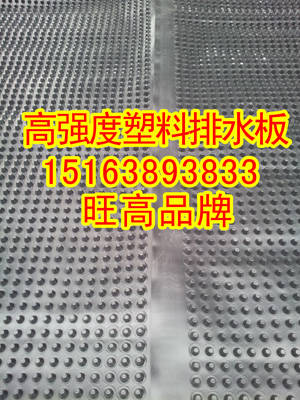 3公分樓頂花園濾水板