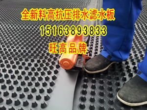 浙江耐根穿刺車庫頂板排水板廠家