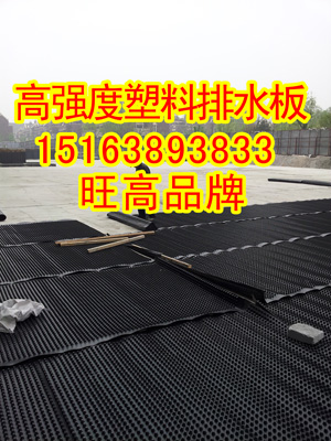 廣安防穿刺阻根層2公分濾水層