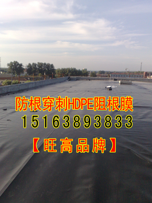 防根穿刺土工膜土濾水工布