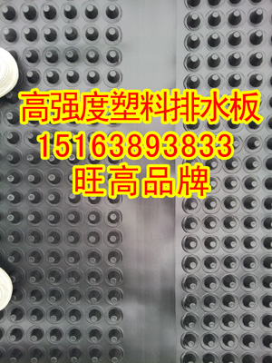 安徽蕪蜂窩式塑料排水板