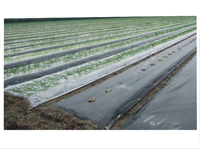 育秧苗用無紡布