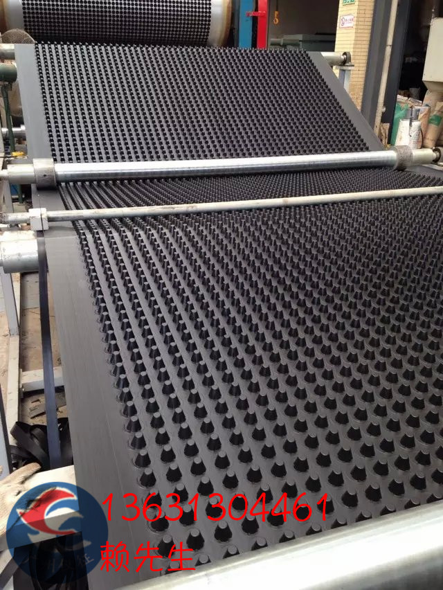 廣東塑料蓄排水板塊屋頂花園綠化塑料疏排水板蓄排水板