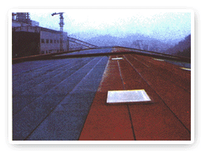 供應-10度3mmSBS彈性體防水卷材