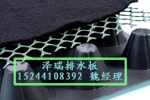 屋頂花園排水板――一條自由、快樂的魚